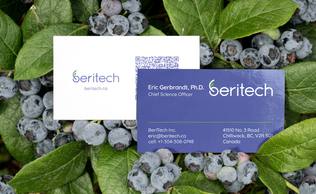 Beritech product cube visual