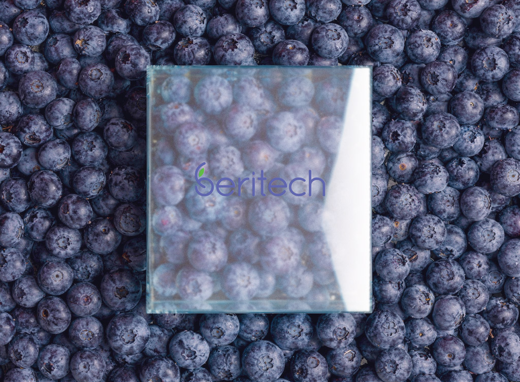 Beritech greenhouse and branding visual